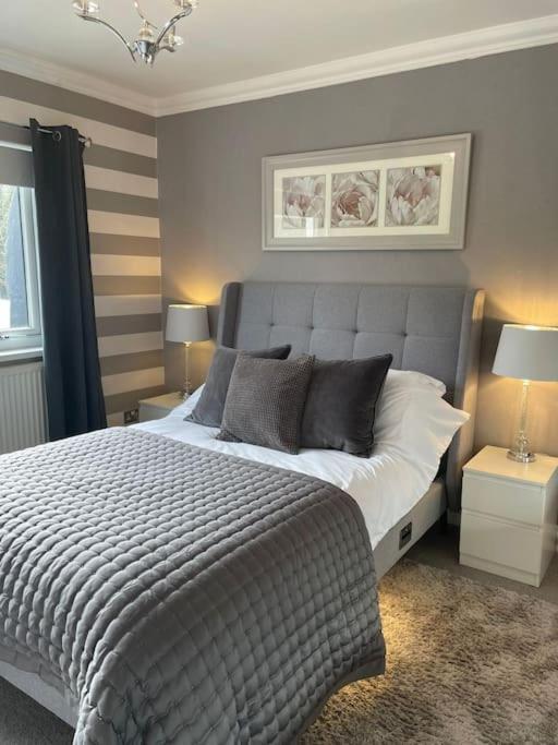 Riverside Retreat Llandysul ภายนอก รูปภาพ