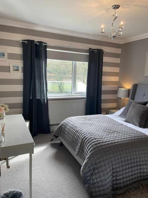 Riverside Retreat Llandysul ภายนอก รูปภาพ