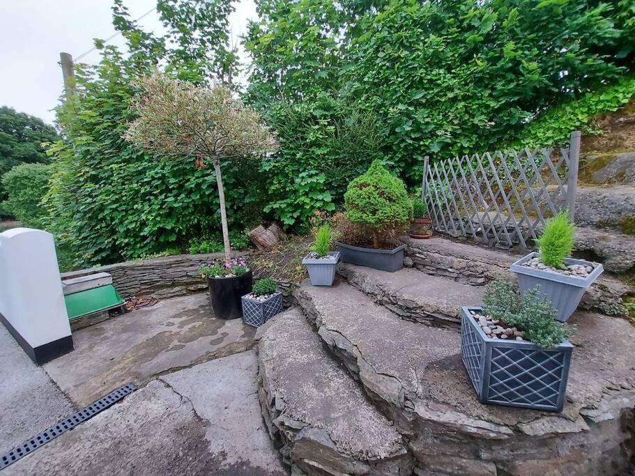 Riverside Retreat Llandysul ภายนอก รูปภาพ