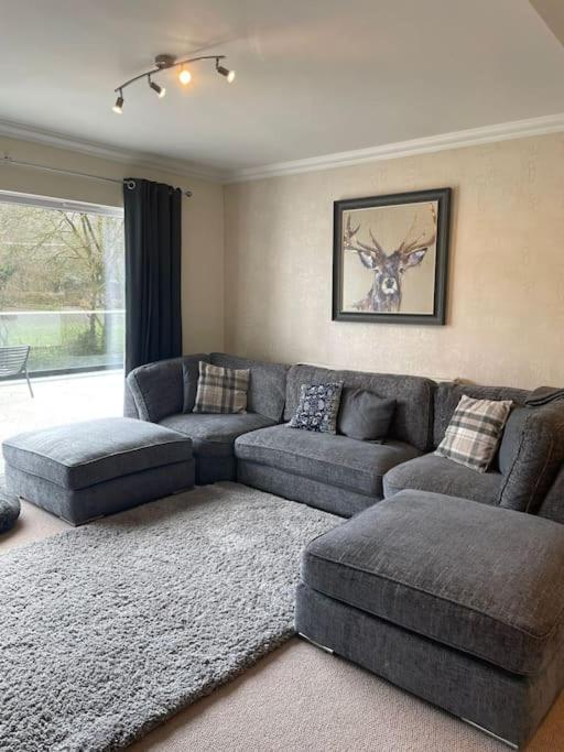 Riverside Retreat Llandysul ภายนอก รูปภาพ
